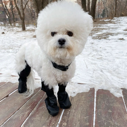 Small white dog wearing black waterproof anti-slip boots in the snow