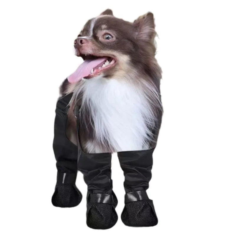 Pet wearing black anti-slip boots on an indoor floor