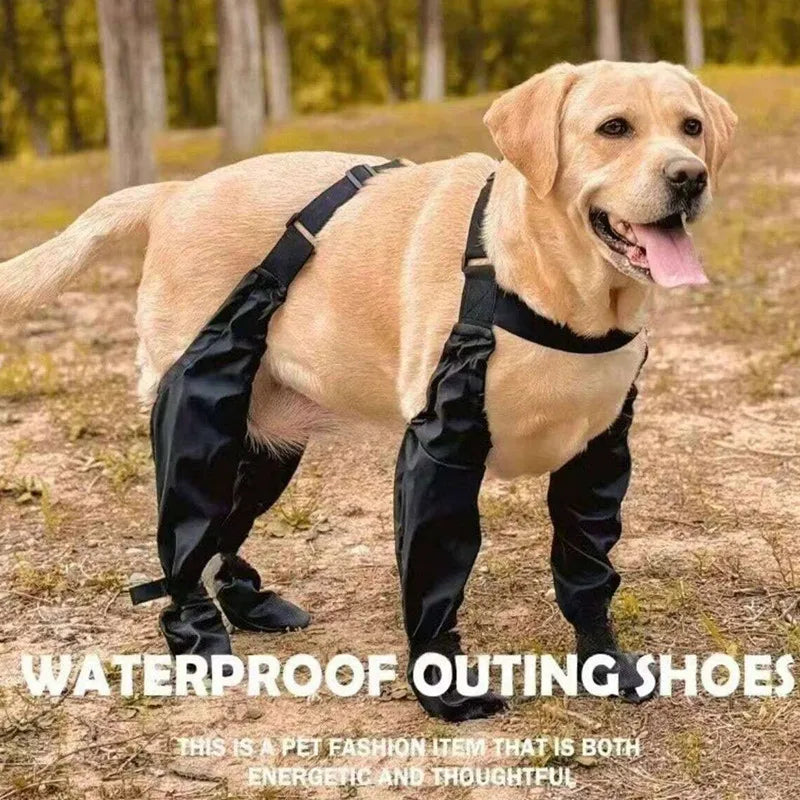 Large dog wearing waterproof outdoor dog boots with suspender straps